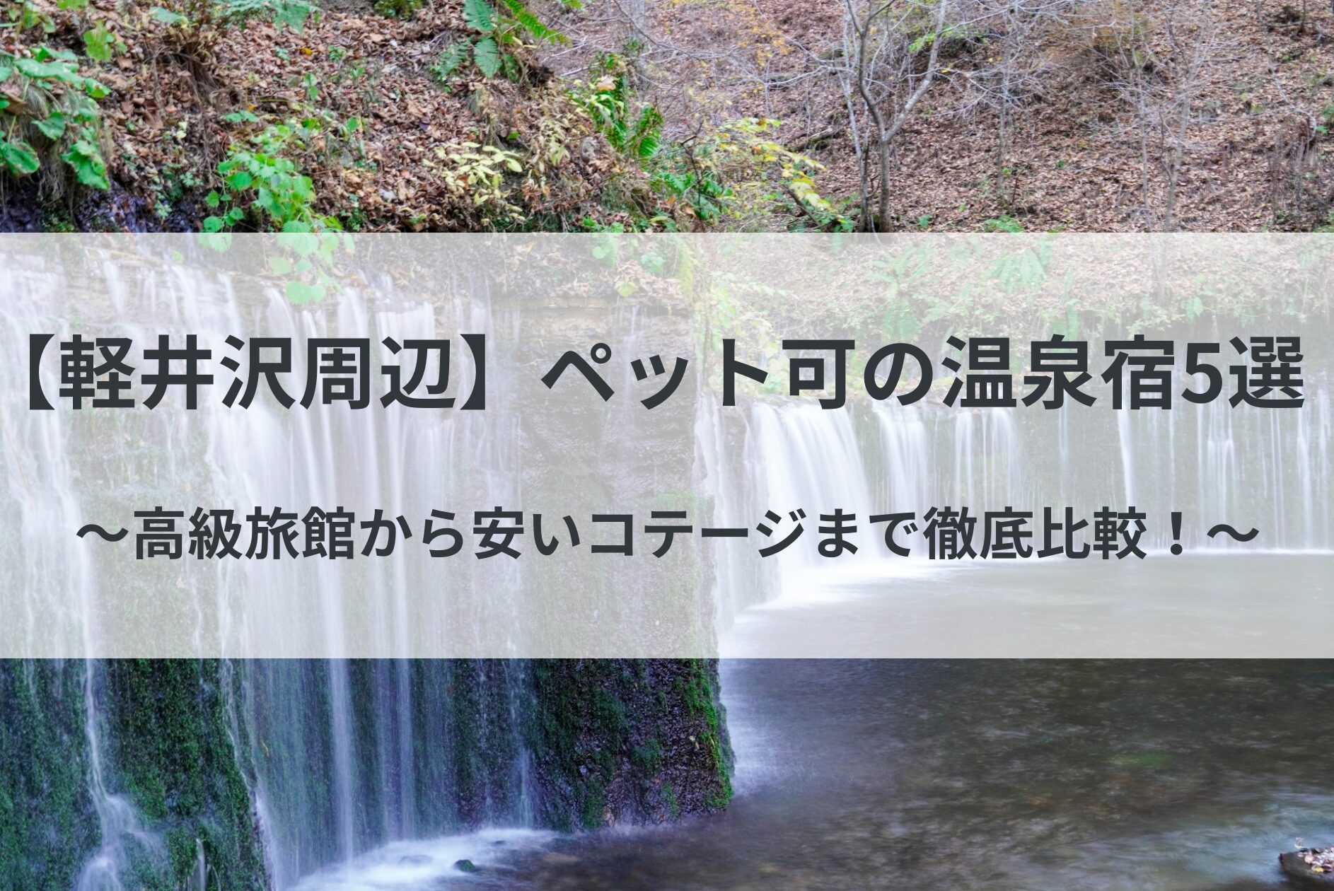 高級旅館から安いコテージまで徹底比較！